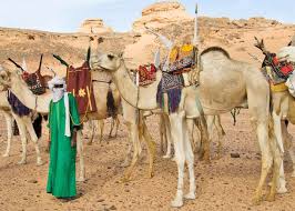 Camel racing association, abu dhabi, united arab emirates. Asian Camel Racing Federation Establishes In Abu Dhabi Uae Sustainable Farming For Food And Health