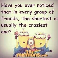 Contents 36 minion crazy quotes 220 minions friends quotes Tag Your Crazy Friends Minions Quote Group Of Friends Shortest The Craziest Friendship True Friends Funny Funny Minion Quotes Super Funny Quotes
