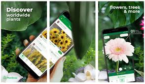 We did not find results for: 9 Best Plant Identification Apps For Android And Ios 2021 Regendus
