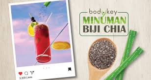 Mencampur minuman jus dengan chia seed selain lemon dan air kelapa, kita bisa mencampur chia seed ke dalam jus buah atau sayur, atau bahkan kombinasi keduanya. Resipi Minuman Biji Chia Xs Summer Bodykey Amwaynow