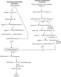 Coagulation Cessation Of Bleeding Chemistry Learning