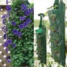 Since the back of your hanging pouch has no plants in it you can easily hang it on a wall, fence, post, or even a tree. 14 Hanging Pouch Ideas Vertical Garden Flowers Plants