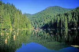 1345 x 900 jpeg 372 кб. Bilder Lacul Rosu Und Bicaz Klamm Rumanien Franks Travelbox