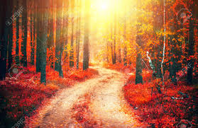 Check spelling or type a new query. Autumn Nature Scene Fantasy Fall Landscape Beautiful Autumnal Stock Photo Picture And Royalty Free Image Image 102753000