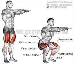 Exercise Bodyweight Squat Aka Air Squat Type Compound Push Target Muscles Quadriceps Rectus Femoris Vastus Squat Workout Bodyweight Workout Fitness Body