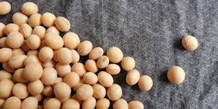Untuk menghindari bahan pengawet dan bahan kimia di wajah komersial. 7 Alasan Masker Yogurt Baik Untuk Kulit Wajah Merdeka Com