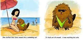 Deep into month three he started to look like an armpit with eyeballs. Brenda S Beaver Needs A Barber By Bimisi Tayanita