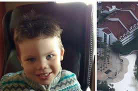 Alligator Seized Boy By The Head Without Warning In Disney World Attack