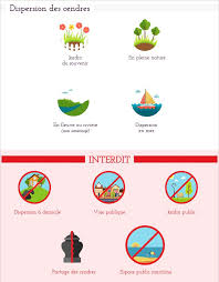 Infographie Dispersion Des Cendres Infographie Cendre Cendre Jardin