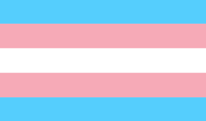 You have searched the english word pride which meaning الفخر in arabic. The History Of The Transgender Flag Point Of Pride
