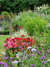 We did not find results for: Find Your Green Thumb With These Great Tips On Gardening Cottage Garden English Cottage Garden Native Garden