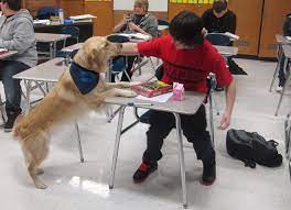 High Schools Using Pets, 'Recess' To Relieve Student Stress