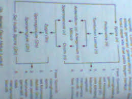 Reproduksi seksual (generatif) melalui fertilisasi antara ovum dan spermatozoid yang nantinya menghasilkan zigot 2. Generasi Sporofit Pada Tumbuhan Lumut Adalah Generasi Yang Menghasilkan Jawabanku Id