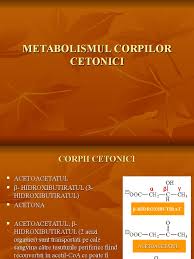 Pentru ca metabolismul să treacă în regim de cetoză este necesar de a renunţa complet la produse bogate în carbohidraţi şi cu indice glicemic mediu şi de a menţine nivelul scăzut de glucoză în sânge cel puţin. Metabolismul Corpilor Cetonici