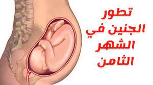 تطور الجنين في الشهر الثامن ونصائح للحامل youtube