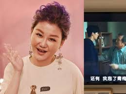 Lan Hsin-Mei, Who's Worth S$72mil, Apologises For Watching K-Drama On  Illegal Streaming Website