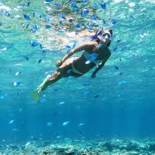 Scuba Dive Kenya Diani Beach Padi Dive Courses Scuba Dive Trips Snorkeling Divemaster And Dive Instructor Training