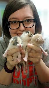 Meet Abbey Thompson of Kalamazoo, MI