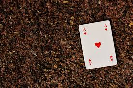 Lay out 20 cards on the table (leave out face cards or change them to equal 0, while aces equal 1). Playing Cards Ace Card Game Free Photo On Pixabay