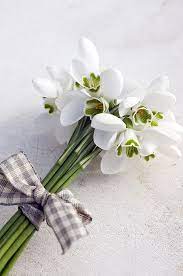 Snowdrops Galanthus Nivalis Spring Flowers Flower Arrangements Simple Flower Arrangements
