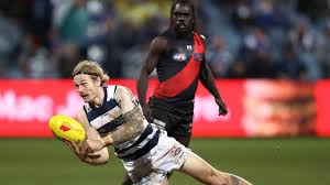 I do like stewart next week though. Mick Mcguane Most Watchable Afl Players Of 2021 Best Young Footballers Herald Sun