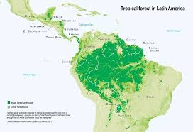 Get the latest latin american and caribbean news from bbc news in latin america and the caribbean: Tropical Forest In Latin America Grid Arendal