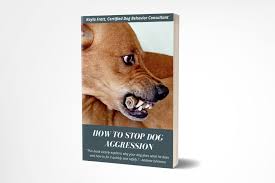By signing up, you agree to our terms of service and privacy policy. How To Stop Dog Aggression Journey Dog Training