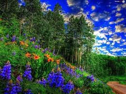Beautiful Summer Scenery Seasons Pinterest Spring Desktop Wallpaper Nature Wallpaper 3d Nature Wallpaper
