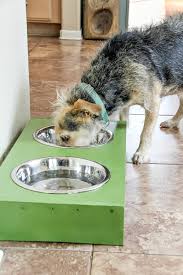 Maybe you would like to learn more about one of these? Diy 30 Minute Wood Food Bowl Stand For Dogs Tonya Staab