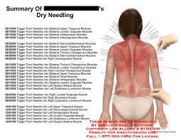 Medical Exhibits Demonstrative Aids Illustrations And Models