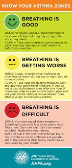Know Your Asthma Zones Asthma Cure Childhood Asthma