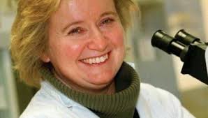 Svenske forskere leter etter bakteriell betennelse i laksen