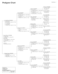 Genealogy Pedigree Charts Download
