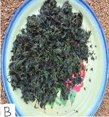 Image result for Vernonia thomsoniana