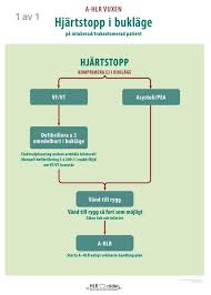 This sorting algorithm can be used for arranging the data. Akut Total Svenska Hlr Radet Kommer Med Ny Riktlinje Facebook