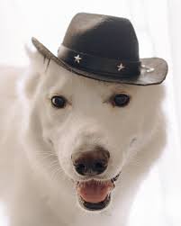 happy 1st birthday to my son🥹