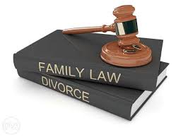 Find The Leading Efficient And Ingenious Civil Advocate Criminal Advocate Marriage Advocate And Divorce Advoca Divorce Lawyers Family Law Attorney Divorce