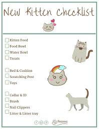 Nunces (age 4 ½) , moustachio (age 4), xlr8 (age 3) and mama cat (age. New Kitten Checklist Petrest Kitten Checklist Kitten Care Cat Care Tips