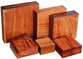 Image result for Khaya