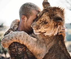 Hakuna Mipaka Animals Wild Animals African Animals