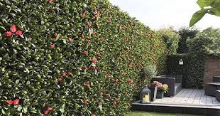 These plastic ivy screen are customizable and available in all plant varieties. Artificial Ivy Trellis Product Categories Artificial Plants Trees Flowers Supplier China Sunwing