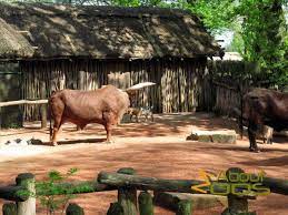 More than one million people use trainline every day. Gelsenkirchen Zoo Zoom Erlebniswelt About Zoos