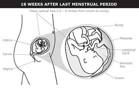 It is defined as exactly 86,400 seconds. What Happens At 5 Months Of Pregnancy 20 Weeks Pregnant