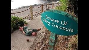 In approximately 1777, king tetui of mangaia in the cook islands had a concubine who died after being struck by a falling green nut. Falling Coconuts Kill Far More People Facts About Sand True Facts Youtube