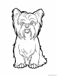 They are great herders, able to move other animals, even animals much larger than themselves, where they need to go. Yorkshire Terrier Coloring Pages Animal Printable Sheets 2021 5097 Coloring4free Coloring4free Com