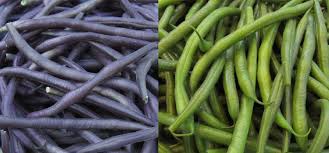 Maybe you would like to learn more about one of these? Grow Your Own Gourmet Green Beans