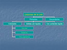 ¿terminaste los 12 módulos de primaria o secundaria con una calificación aprobatoria en el instituto nacional para la educación de los adultos (inea)? Lesiones De La Piel Higiene Tcnico En Atencin