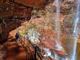 This hike is a strenuous 9 mile round trip through left fork canyon with a very random trail that criss crosses north. Best Hikes In Zion National Park Beautiful Waterfalls Thrilling Views