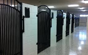Want to buy a puppy? Ames Pet Resort Cheap Dog Kennels Dog Kennel Designs Dog Kennel