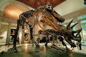 Natural History Museum Of Los Angeles County Institute Of The Environment And Sustainability At Ucla